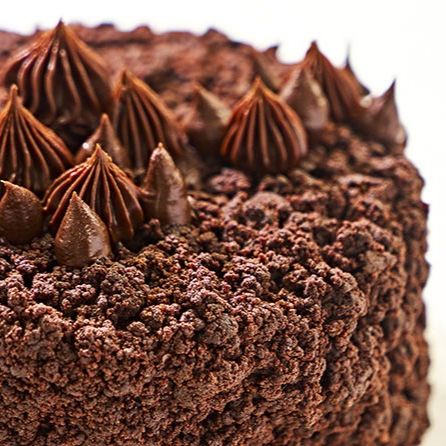 Cake Baking 4: Chocolate in Cakes - Jan 25th | 2:00 PM - 6:00 PM